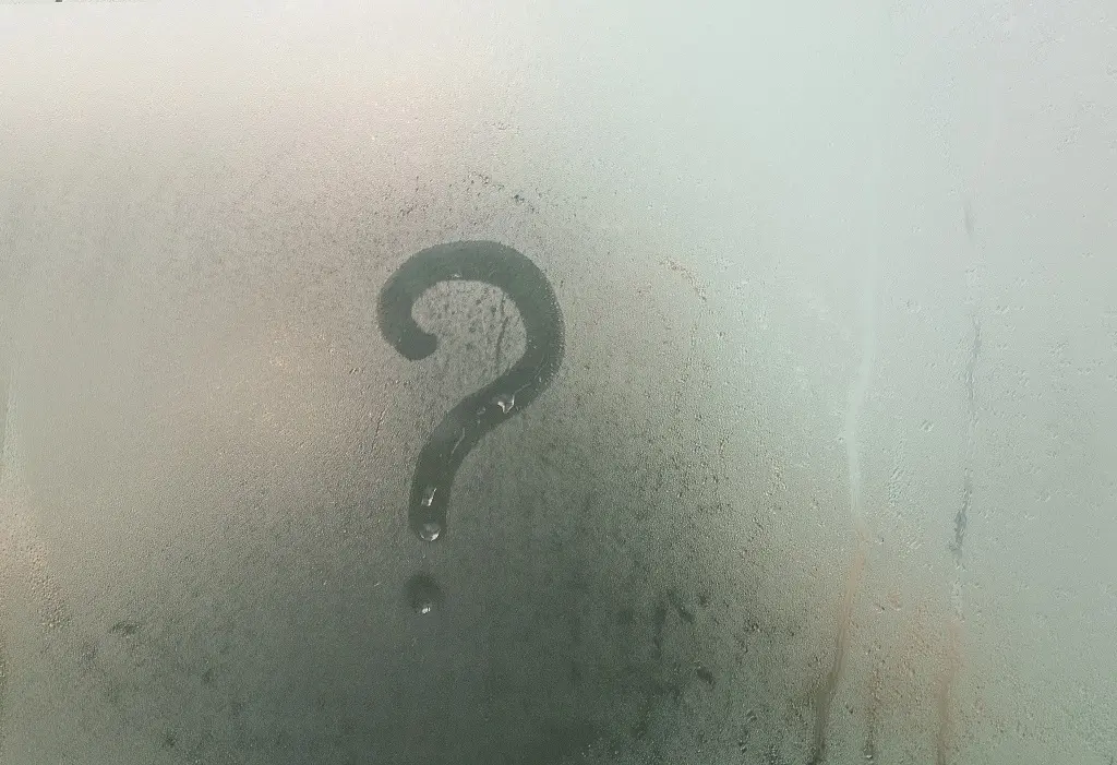 Can You Paint Over Mold? Oahu Pro Painters